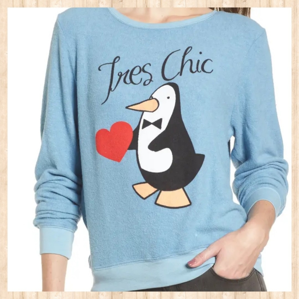 NWT WILDFOX DREAM SCENE SWEATSHIRT FITS L